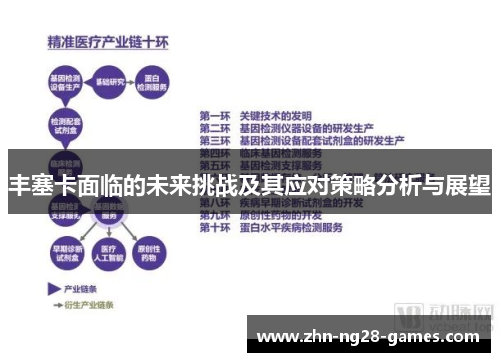 丰塞卡面临的未来挑战及其应对策略分析与展望