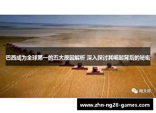 巴西成为全球第一的五大原因解析 深入探讨其崛起背后的秘密